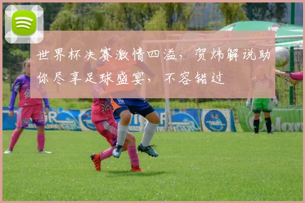 世界杯决赛激情四溢，贺炜解说助你尽享足球盛宴，不容错过