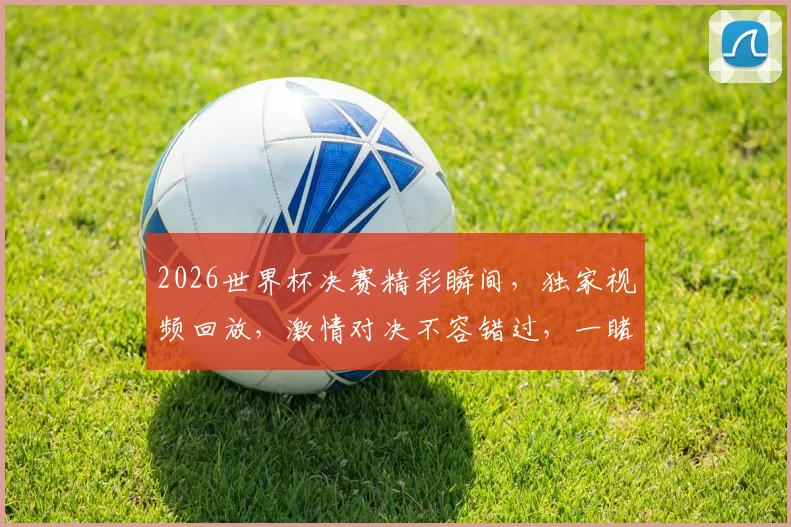 2026世界杯决赛精彩瞬间，独家视频回放，激情对决不容错过，一睹为快