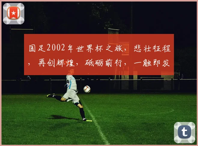 国足2002年世界杯之旅，悲壮征程，再创辉煌，砥砺前行，一触即发，共鉴传奇。