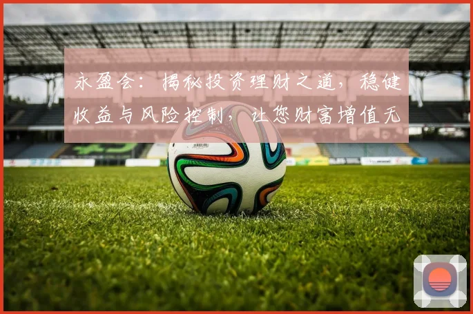 永盈会：揭秘投资理财之道，稳健收益与风险控制，让您财富增值无忧