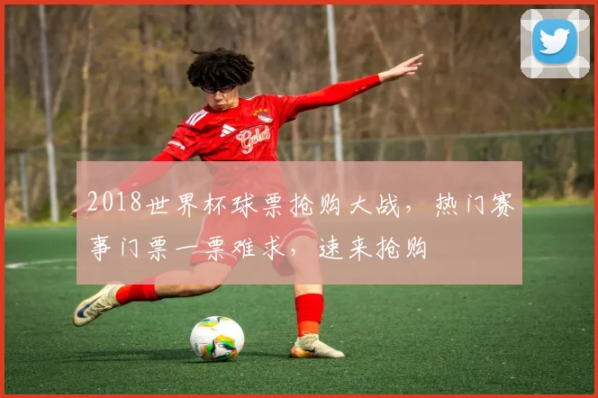 2018世界杯球票抢购大战，热门赛事门票一票难求，速来抢购